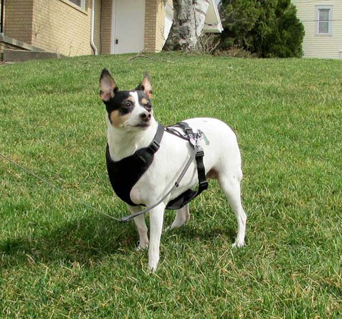 myersethyl 25690624793 o.jpg-resized