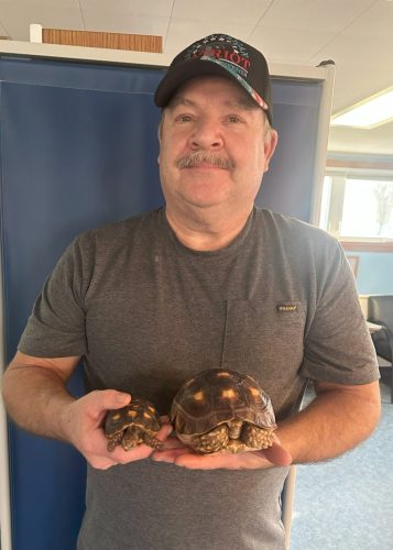 AndersonTortoises