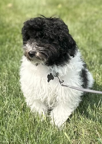 DoumaCharlie