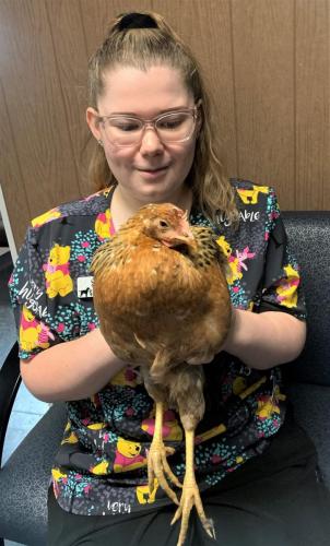 FeldpauschChicken