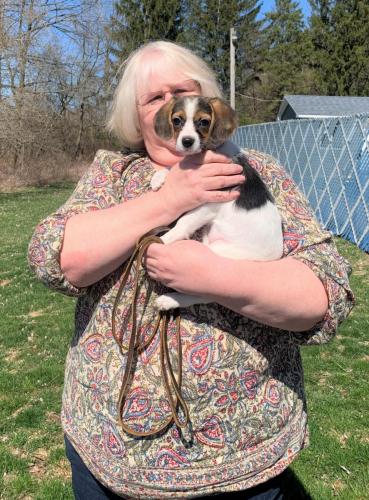 Strong-DonaldsonHolly