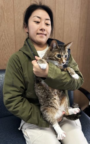 TsurimakiTiger