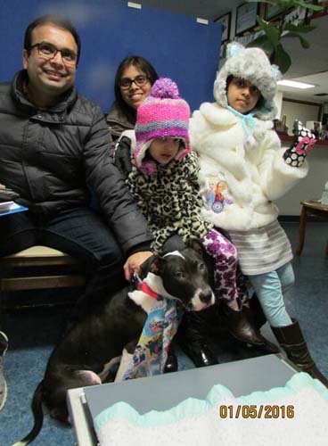 royroxy 24861394100 o-thumbnail