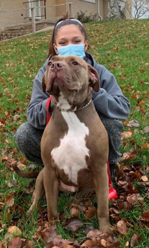 Morrison-TrevinoVeno